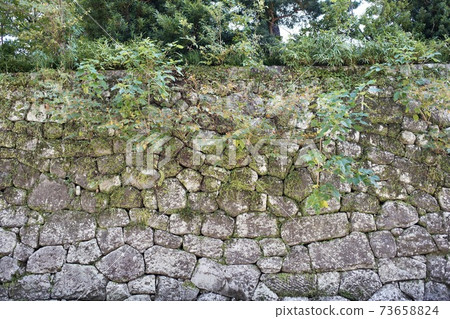 Overgrown Ishigaki Overgrown Ishigaki 73658824