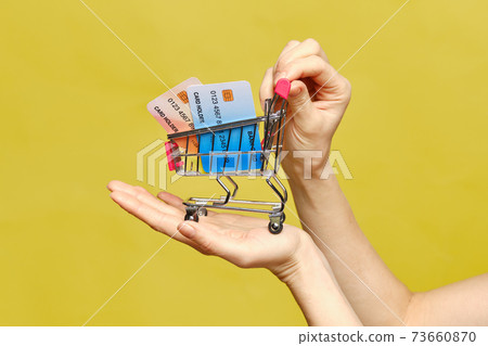 Hand holds a cart with credit bank cards. Hand holds a cart with credit bank cards. 73660870