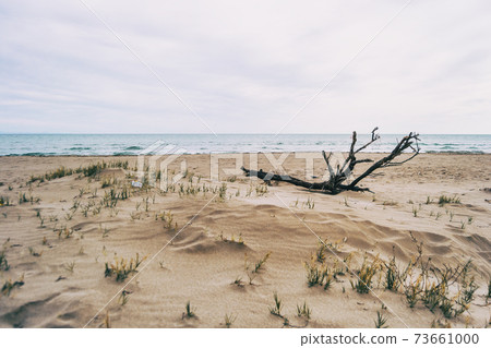 Lonely beach in the delta del ebro, tarragona, spain. 73661000
