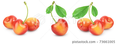 yellow-red sweet cherry isolated on white background with full depth of field, Set or collection yellow-red sweet cherry isolated on white background with full depth of field, Set or collection 73661005