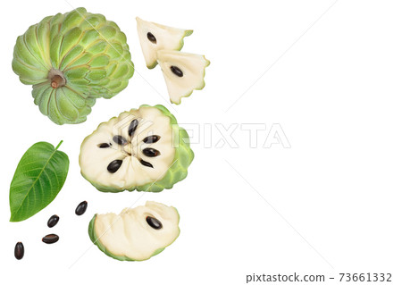 Sugar apple or custard apple isolated on white background with clipping path. Exotic tropical Thai annona or cherimoya fruit. Top view. Flat lay 73661332