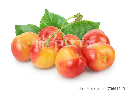yellow-red sweet cherry isolated on white background with clipping path and full depth of field 73661343