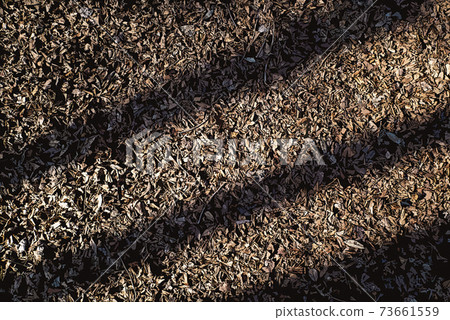 Beds of fallen leaves piled up in the autumn park Beds of fallen leaves piled up in the autumn park 73661559