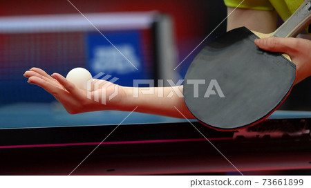 Table tennis 73661899