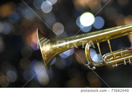 Trumpet 73662048