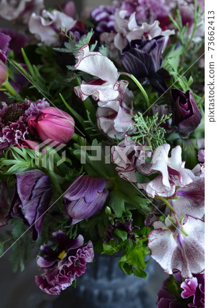 Violet flower arrangement Violet flower arrangement 73662413