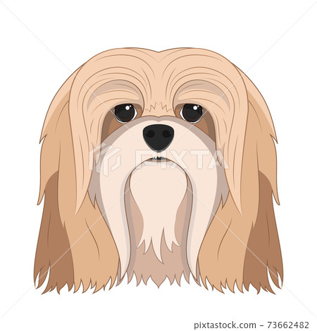 Lhasa Apso dog isolated on white background vector illustration Lhasa Apso dog isolated on white background vector illustration 73662482