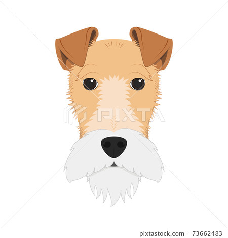 Fox Terrier dog isolated on white background vector illustration Fox Terrier dog isolated on white background vector illustration 73662483