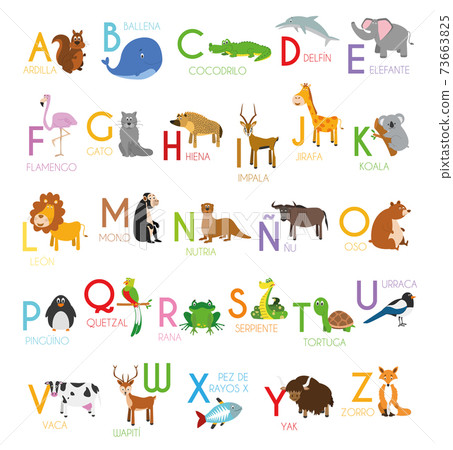 Cute cartoon zoo illustrated alphabet with... - Stock Illustration  [73663825] - PIXTA