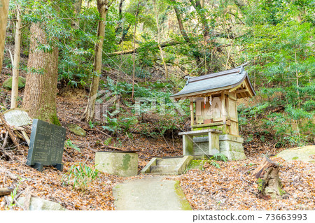[兵庫縣]岩上神社 73663993