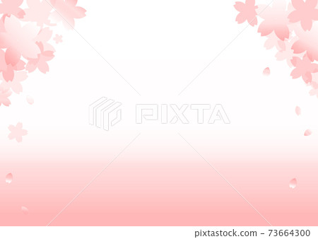 櫻花背景粉色日本A4複製空間是白色背傳單傳單花春新年的材料 73664300