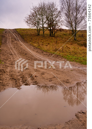 A muddy puddle and a dirt road at a moor. Picture from Revingehed, Scania, Sweden 73664342