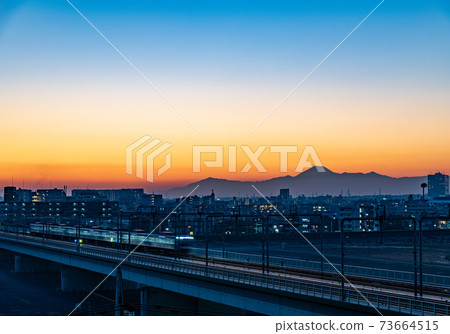 夜景：武藏小杉，丸子橋 73664515
