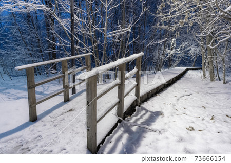 Night view of a path in a city park, illuminated by lanterns. Night view of a path in a city park, illuminated by lanterns. 73666154