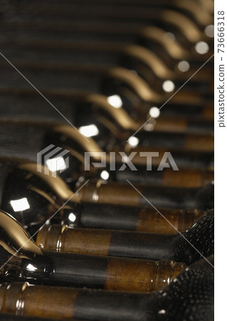 Wine Bottles In The Cellar Wine Bottles In The Cellar 73666318
