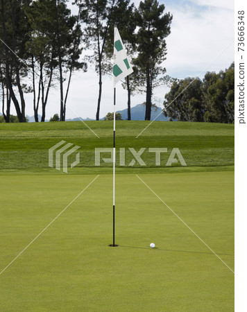Golf Flag And Ball On Course Golf Flag And Ball On Course 73666348