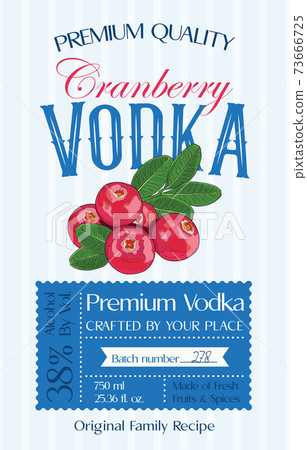 Family recipe Cranberry Vodka alcohol label template. Modern vector packaging design layout. Retro banner with typography and hand drawn fruit. Isolated. 73666725