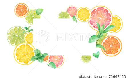 柑橘和薄荷的水彩插圖。框架設計的橙，檸檬，葡萄柚和石灰。 73667423