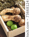 Autumn taste Matsutake 73668124