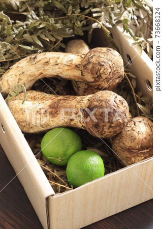 Autumn taste Matsutake Autumn taste Matsutake 73668124