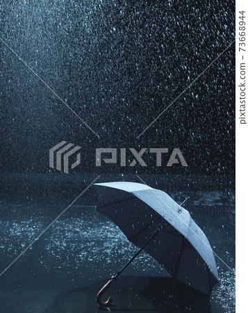 Lost Umbrella Lost Umbrella 73668944