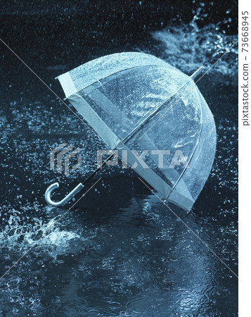 Lost Umbrella Lost Umbrella 73668945