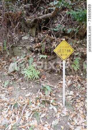 香川縣安全林看台 香川縣安全林看台 73669089