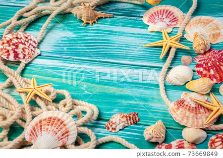 Different sea shells on color wooden background Different sea shells on color wooden background 73669849