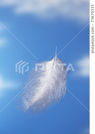 Floating Feather 73670335