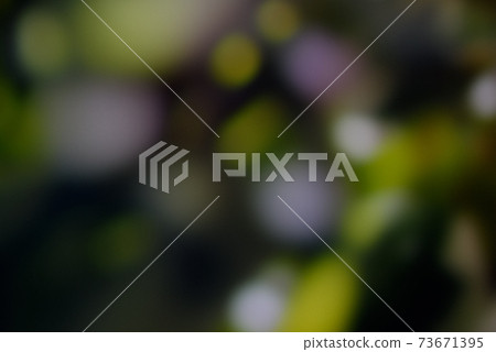 光的照片 73671395