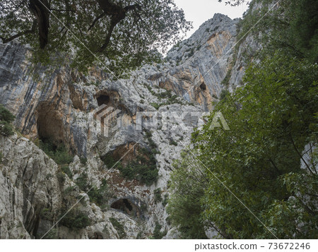 caves in limestone rock of Gola Su Gorropu gorge with green bush and trees. Famous tourist hiking destination at Supramonte Mountains, Nuoro, Sardinia, Italy. Summer 73672246
