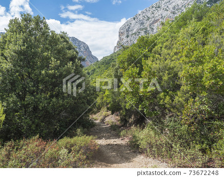 hiking trail to Gola Su Gorropu gorge and green forest landscape of Supramonte Mountains with limestone rock and mediterranean vegetation, Nuoro, Sardinia, Italy. Summer cloudy day 73672248