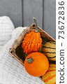 Colorful pumpkins in straw basket in a selective focus, autumn harvest pattern 73672836