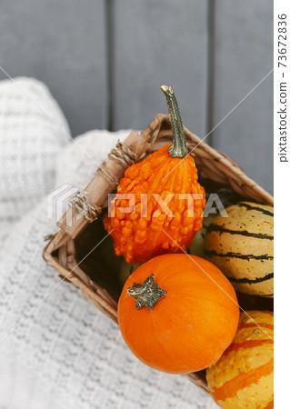 Colorful pumpkins in straw basket in a selective focus, autumn harvest pattern 73672836