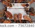 Autumn background with natural leaves, pine cones and leather shoes on aged wood with copy space 73672840