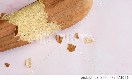 A dried luffa plant with the skin peeled away revealing the fibrous loofah inside. With pink marble background. A dried luffa plant with the skin peeled away revealing the fibrous loofah inside. With pink marble background. 73673016