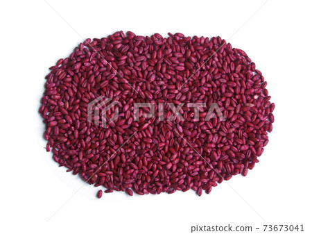 Rat poison. Red dyed grain of wheat against rats. Pile of seeds. Isolated 73673041