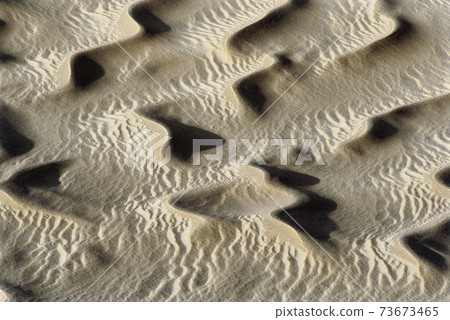 12680017 12680017 73673465