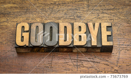 goodbye - word in vintage letterpress wood type goodbye - word in vintage letterpress wood type 73673769