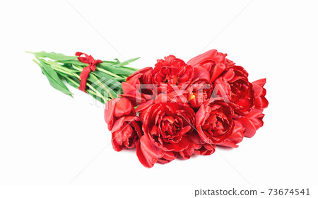 Fresh tulips bouquet on white background Fresh tulips bouquet on white background 73674541