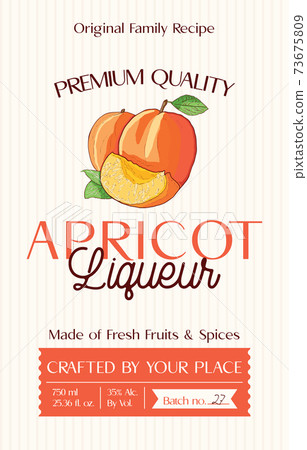Family recipe Apricot liqueur alcohol label template. Modern vector packaging design layout. Retro banner with typography and hand drawn fruit. Isolated. 73675809