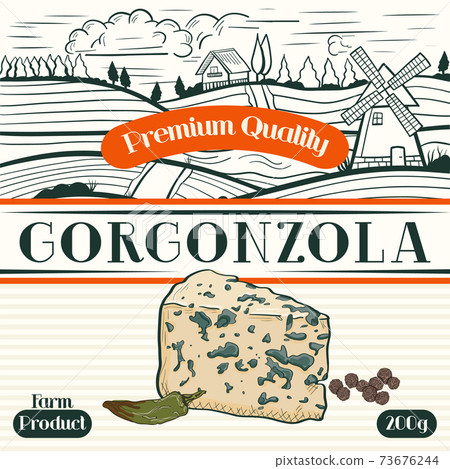 Farm Product Gorgonzola label template. Modern vector packaging design layout. Retro banner with typography and hand drawn cheese. Isolated. 73676244