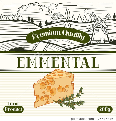 Farm Product Emmental label template. Modern vector packaging design layout. Retro banner with typography and hand drawn cheese. Isolated. 73676246