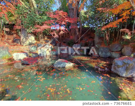 Ryuzuji Temple (57 famous springs in Tokyo) Late autumn 73676681