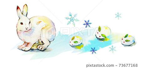 Snow rabbit Snow rabbit 73677168