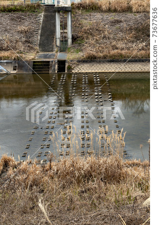 兵庫縣三田市的橫河川堰 73677636
