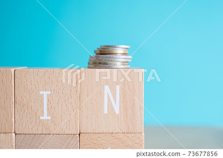 [Coins] Coins on the building blocks labeled "IN" 73677856