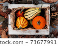 Pumpkin harvest in rustic box with autumn leaves on wooden background, season holiday concept 73677991