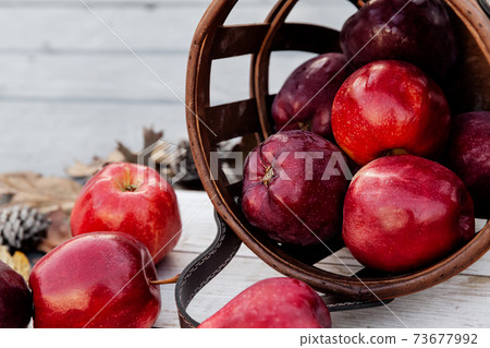 Harvest of red apples in a basket in autumn season, fresh organic fruits on wooden background 73677992