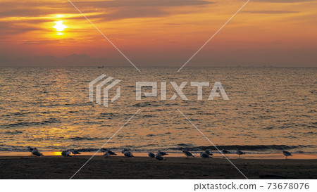 湘南三浦半島神奈川縣三浦市三浦海岸的黎明 73678076
